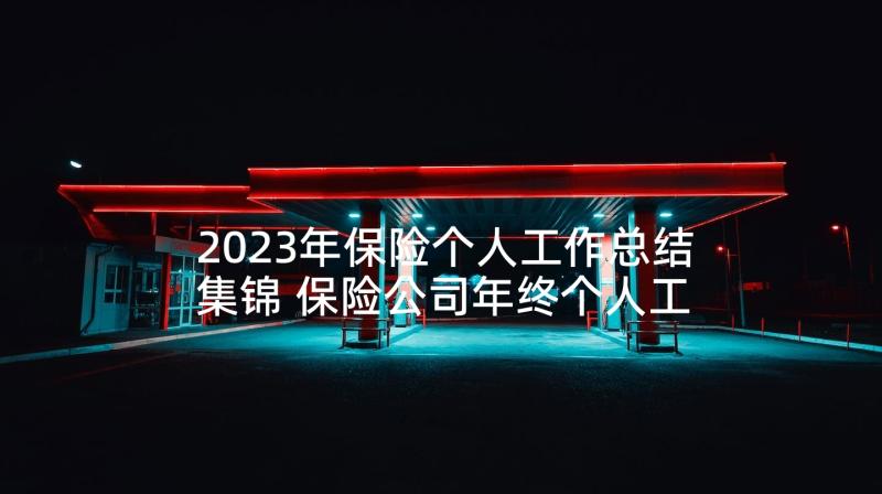 2023年保险个人工作总结集锦 保险公司年终个人工作总结集锦(通用5篇)