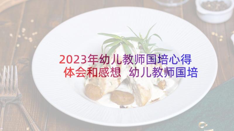 2023年幼儿教师国培心得体会和感想 幼儿教师国培个人研修总结(精选5篇)