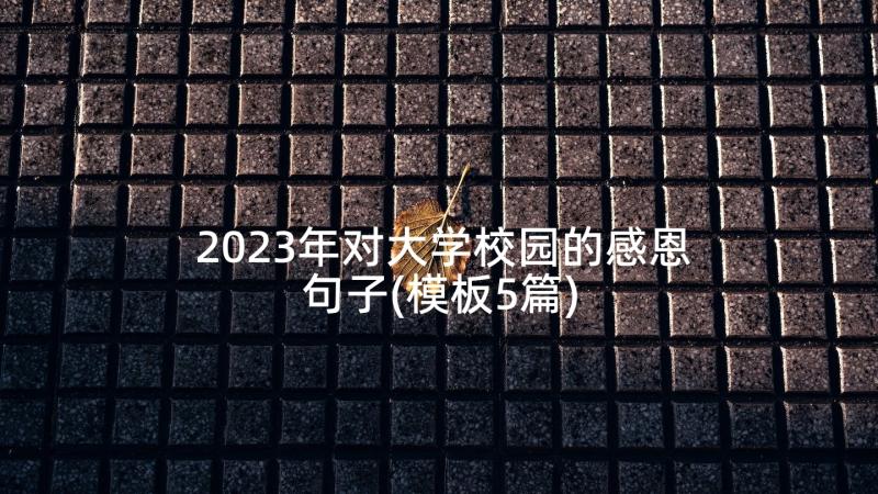 2023年对大学校园的感恩句子(模板5篇)