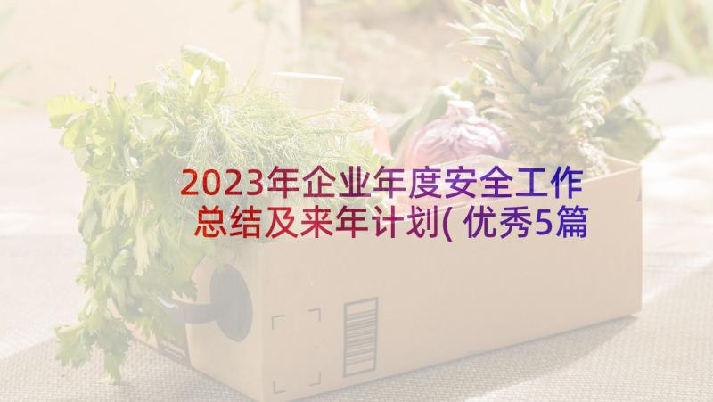 2023年企业年度安全工作总结及来年计划(优秀5篇)