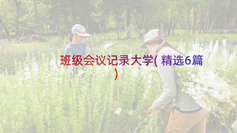 班级会议记录大学(精选6篇)