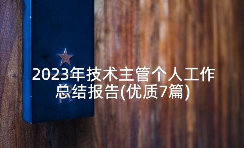 2023年技术主管个人工作总结报告(优质7篇)