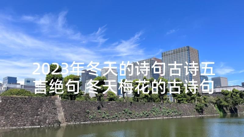 2023年冬天的诗句古诗五言绝句 冬天梅花的古诗句(精选8篇)