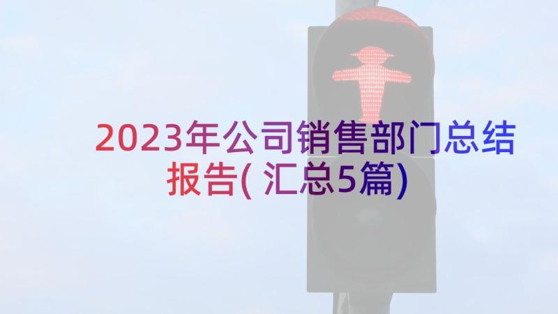 2023年公司销售部门总结报告(汇总5篇)