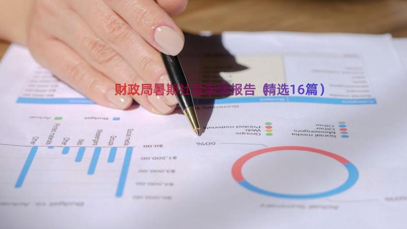 财政局暑期社会实践报告（精选16篇）