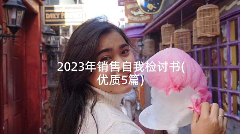 2023年销售自我检讨书(优质5篇)