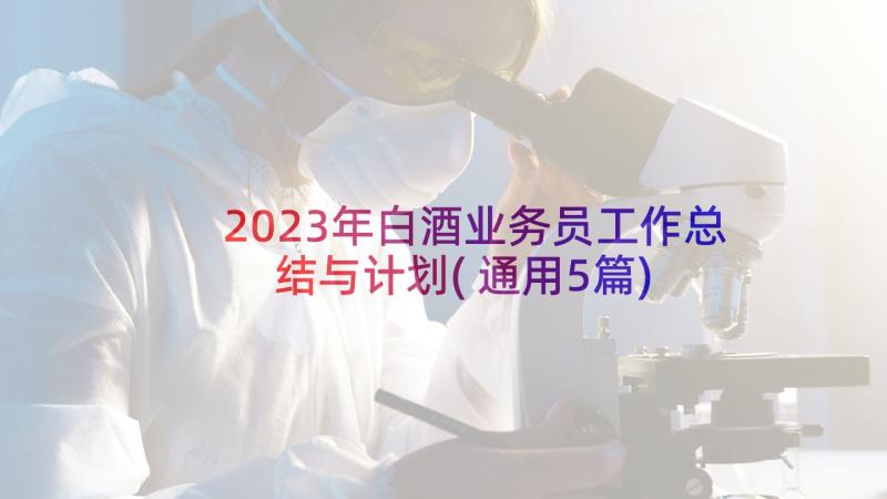 2023年白酒业务员工作总结与计划(通用5篇)