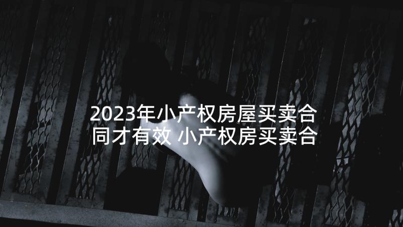 2023年小产权房屋买卖合同才有效 小产权房买卖合同(优秀8篇)