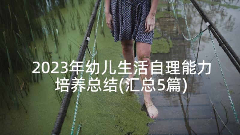 2023年幼儿生活自理能力培养总结(汇总5篇)