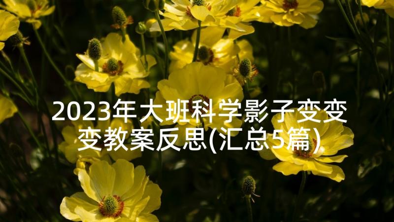 2023年大班科学影子变变变教案反思(汇总5篇)