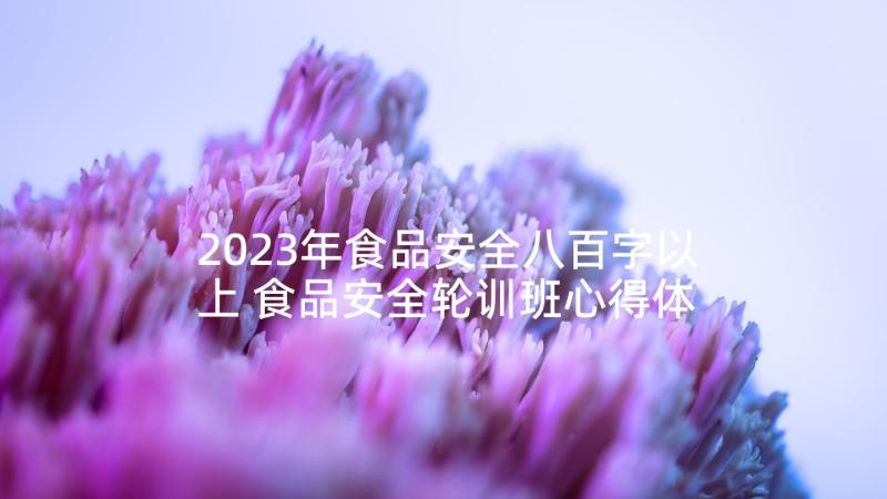 2023年食品安全八百字以上 食品安全轮训班心得体会(实用9篇)