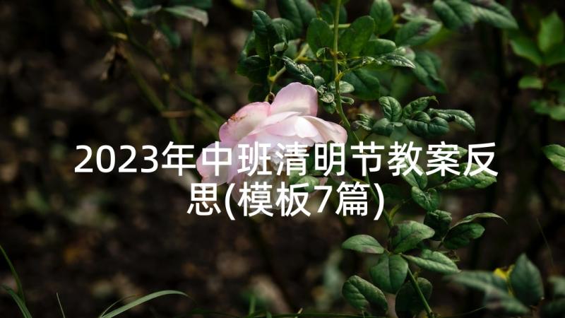 2023年中班清明节教案反思(模板7篇)