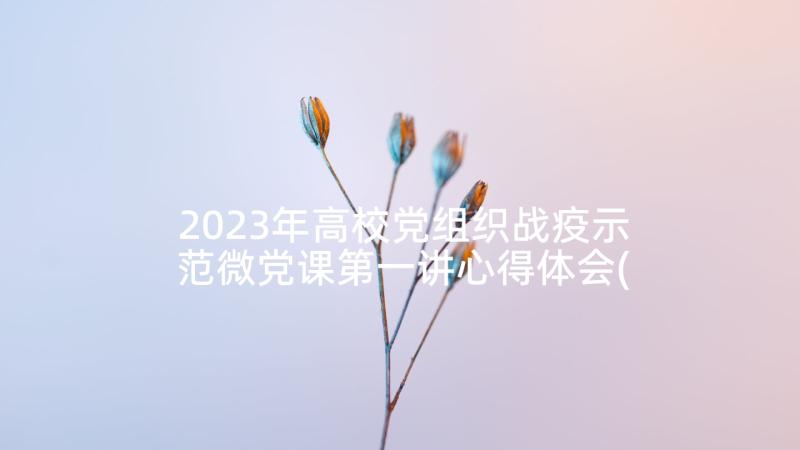 2023年高校党组织战疫示范微党课第一讲心得体会(优秀5篇)