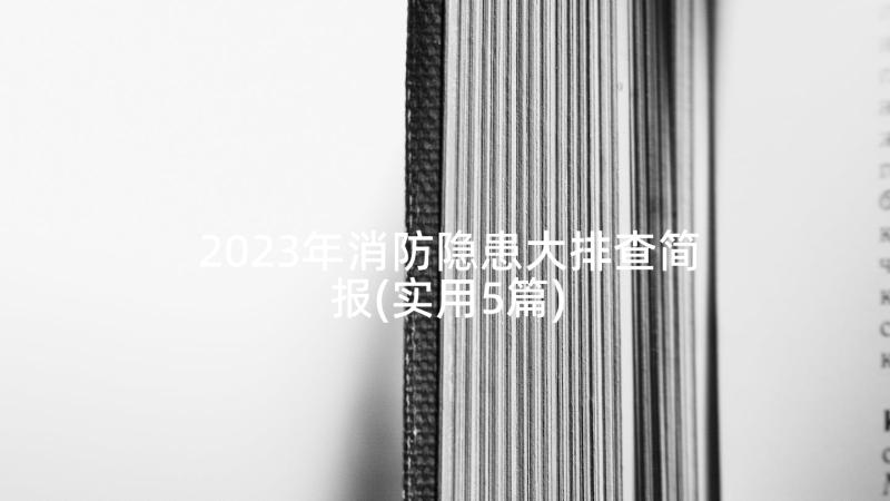 2023年消防隐患大排查简报(实用5篇)