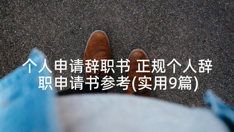 个人申请辞职书 正规个人辞职申请书参考(实用9篇)