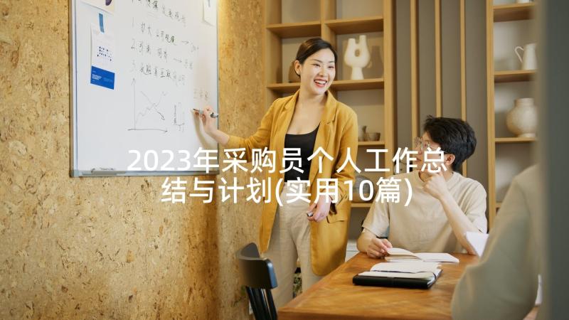 2023年采购员个人工作总结与计划(实用10篇)