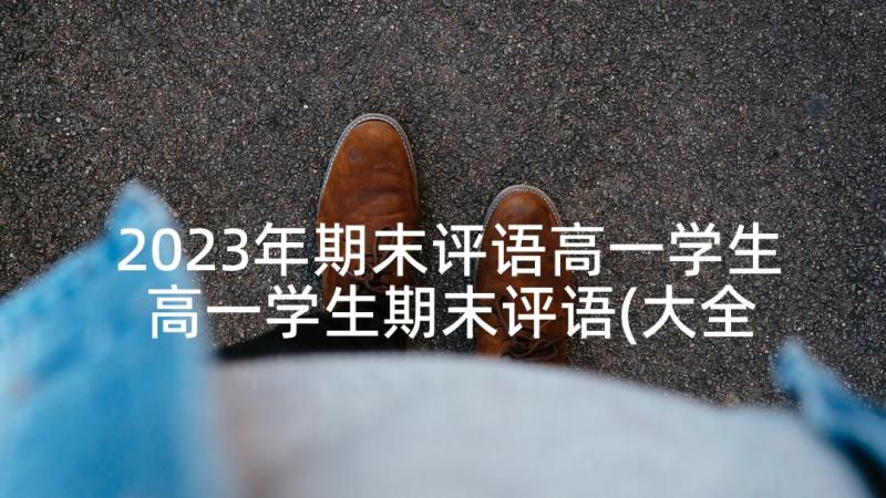 2023年期末评语高一学生 高一学生期末评语(大全6篇)