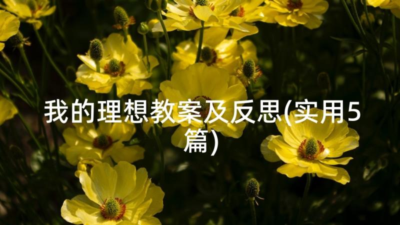 我的理想教案及反思(实用5篇)