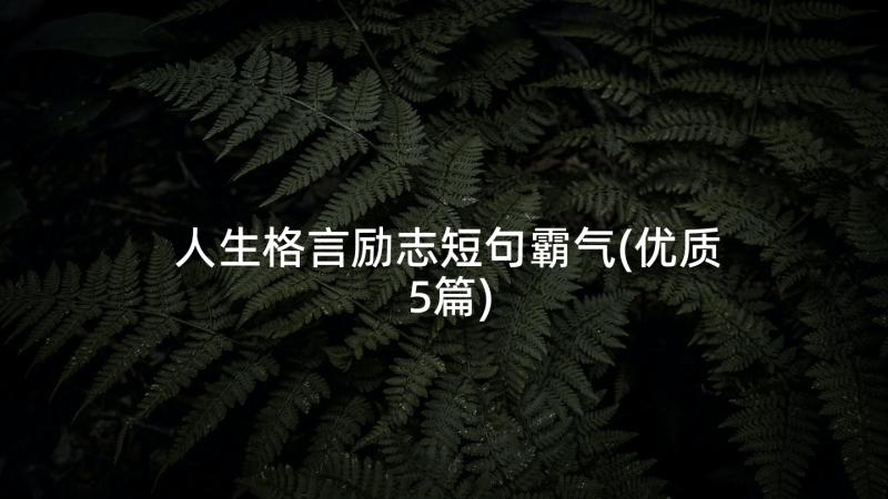 人生格言励志短句霸气(优质5篇)