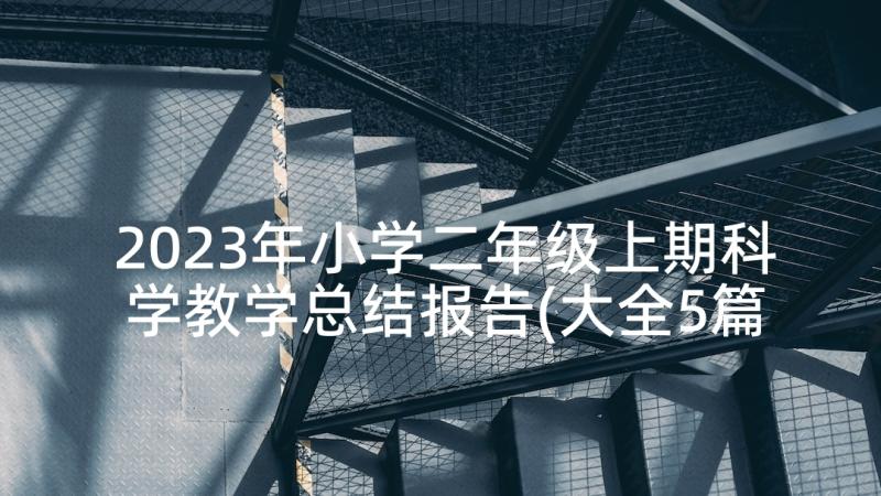 2023年小学二年级上期科学教学总结报告(大全5篇)