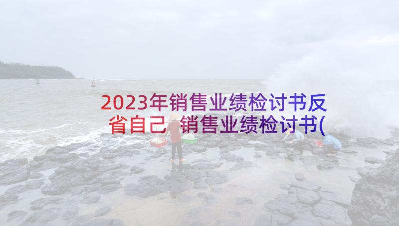 2023年销售业绩检讨书反省自己 销售业绩检讨书(大全10篇)