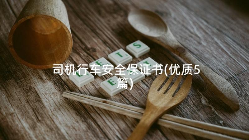 司机行车安全保证书(优质5篇)