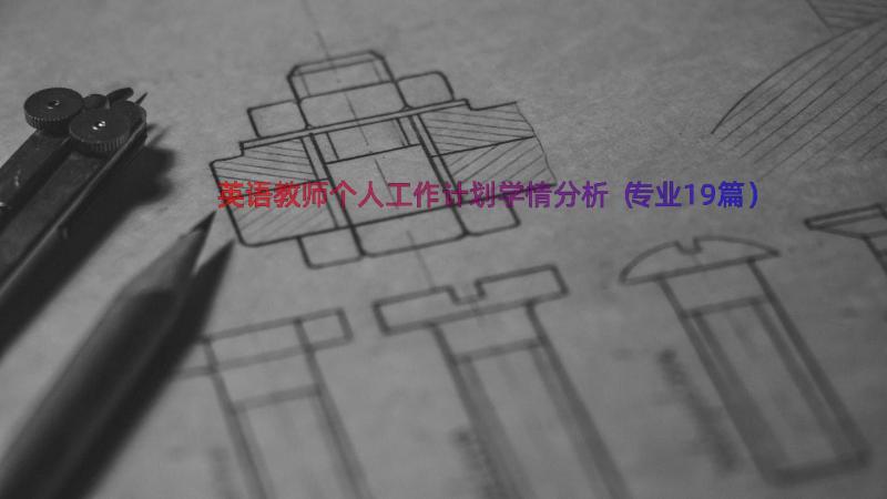 英语教师个人工作计划学情分析（专业19篇）