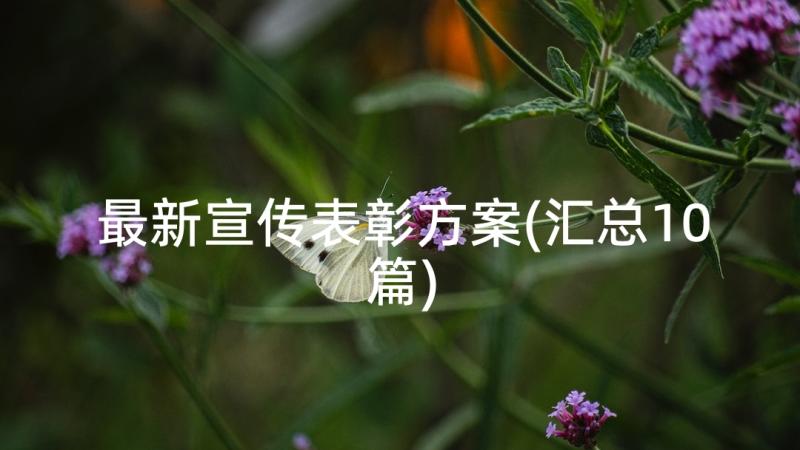 最新宣传表彰方案(汇总10篇)