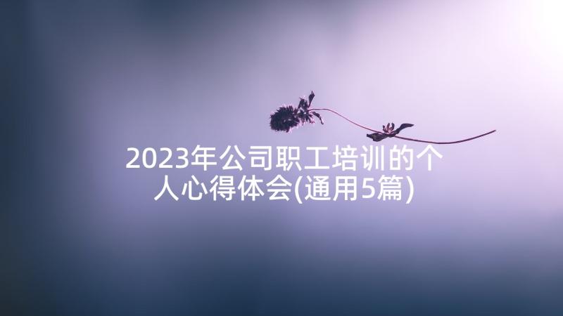 2023年公司职工培训的个人心得体会(通用5篇)