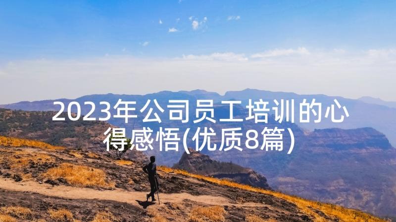 2023年公司员工培训的心得感悟(优质8篇)