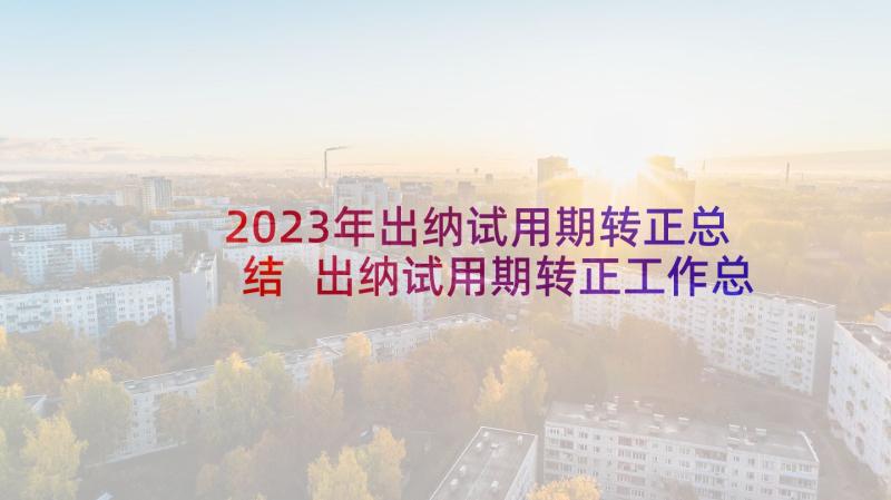 2023年出纳试用期转正总结 出纳试用期转正工作总结(优质9篇)