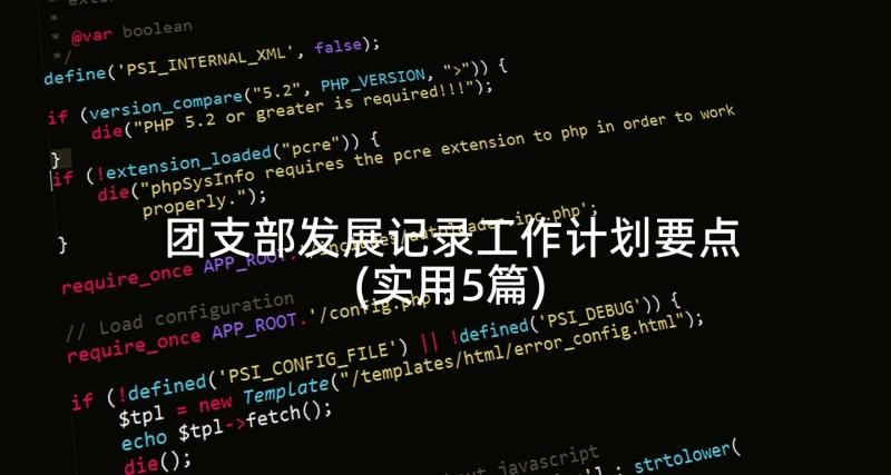 团支部发展记录工作计划要点(实用5篇)
