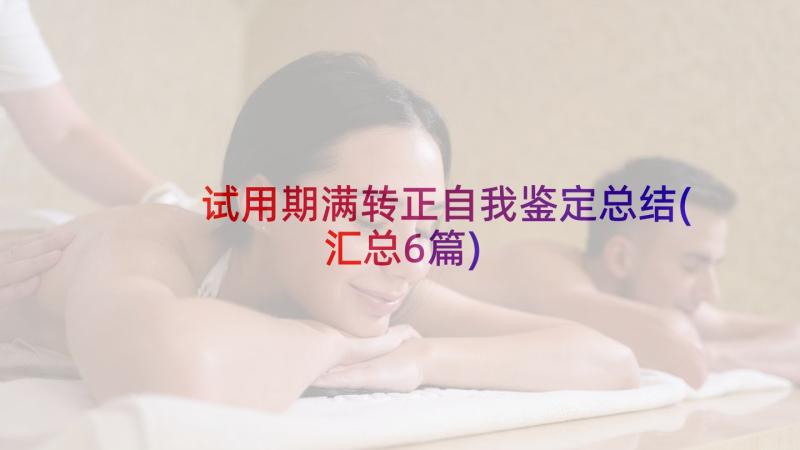 试用期满转正自我鉴定总结(汇总6篇)