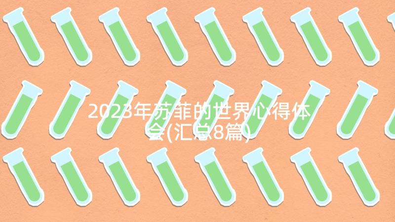 2023年苏菲的世界心得体会(汇总8篇)