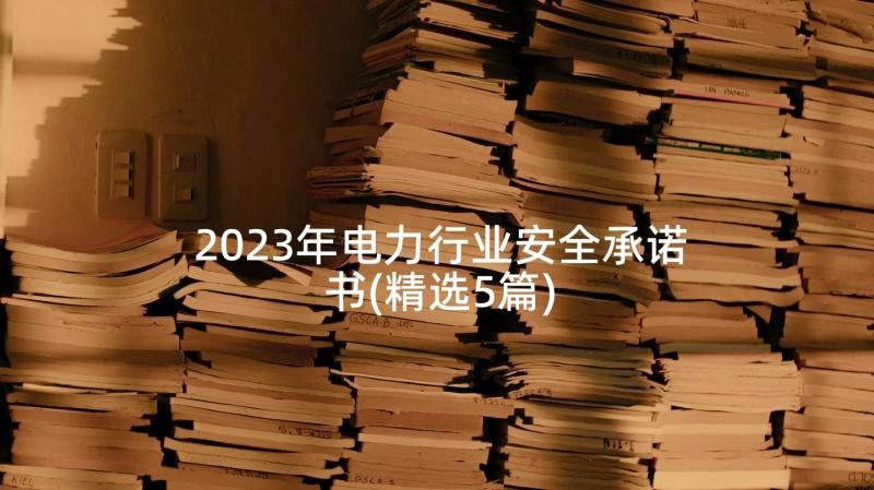 2023年电力行业安全承诺书(精选5篇)