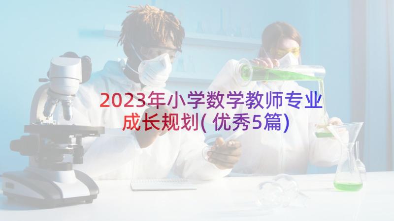 2023年小学数学教师专业成长规划(优秀5篇)