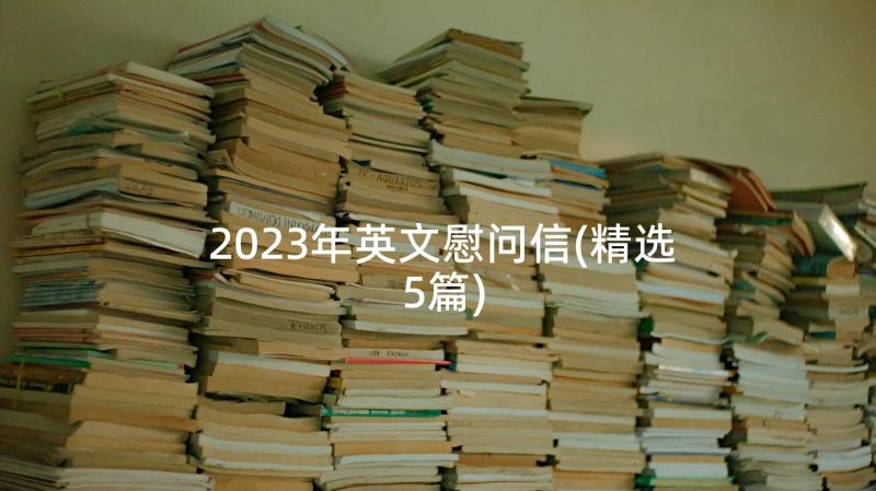 2023年英文慰问信(精选5篇)