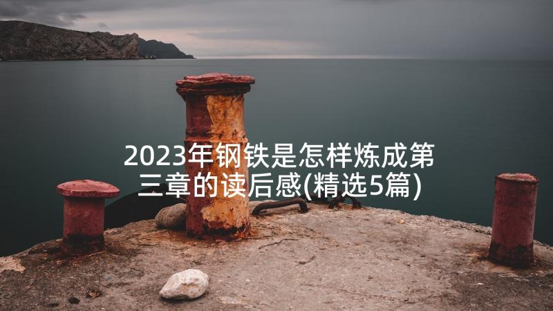 2023年钢铁是怎样炼成第三章的读后感(精选5篇)