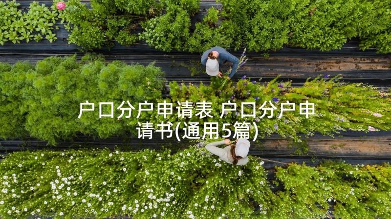 户口分户申请表 户口分户申请书(通用5篇)