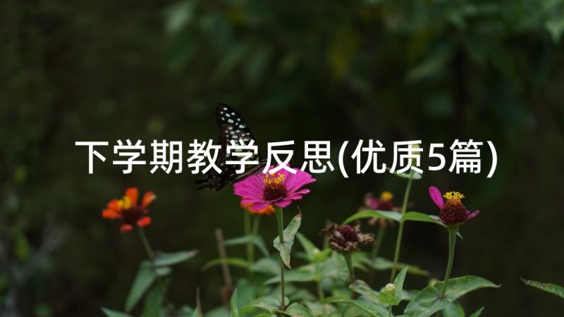 下学期教学反思(优质5篇)