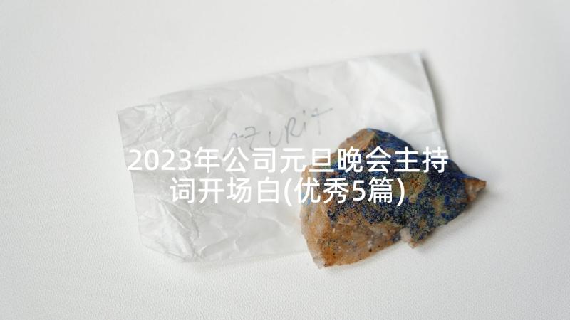 2023年公司元旦晚会主持词开场白(优秀5篇)