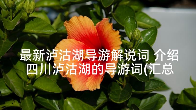 最新泸沽湖导游解说词 介绍四川泸沽湖的导游词(汇总5篇)