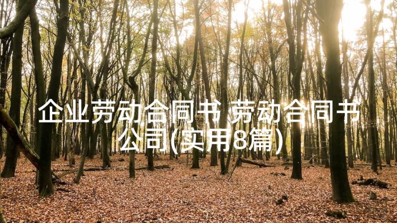 企业劳动合同书 劳动合同书公司(实用8篇)