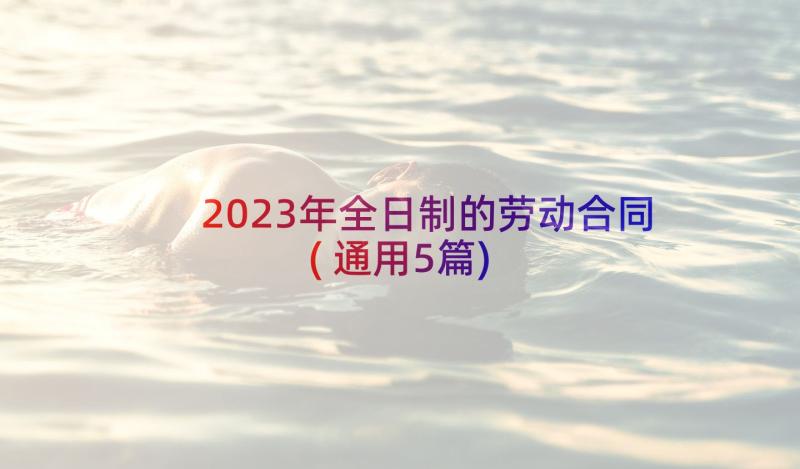 2023年全日制的劳动合同(通用5篇)