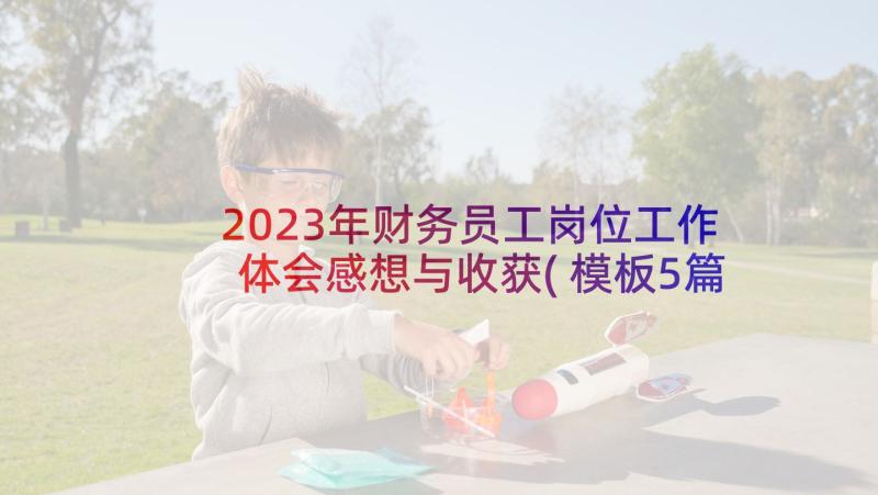 2023年财务员工岗位工作体会感想与收获(模板5篇)