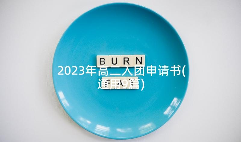 2023年高二入团申请书(通用9篇)