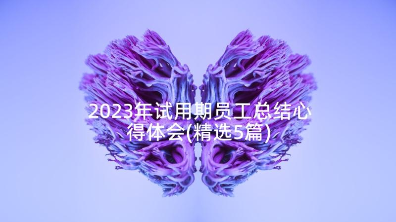 2023年试用期员工总结心得体会(精选5篇)