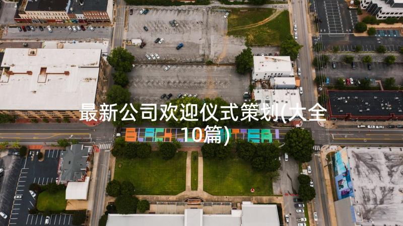 最新公司欢迎仪式策划(大全10篇)