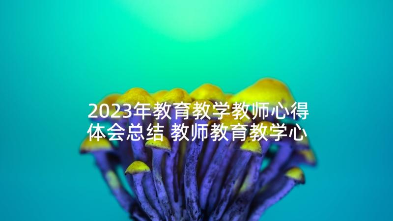 2023年教育教学教师心得体会总结 教师教育教学心得体会(汇总6篇)