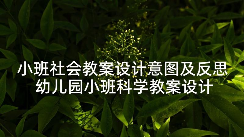 小班社会教案设计意图及反思 幼儿园小班科学教案设计意图(汇总6篇)